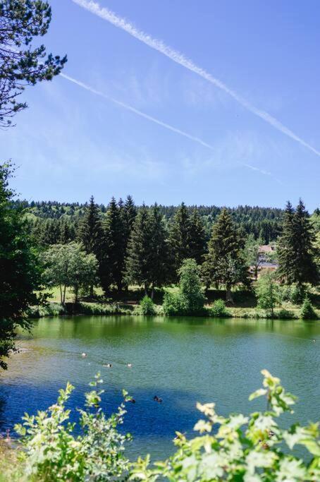 Ferienwohnung "Am Skilift" Herrischried Dış mekan fotoğraf