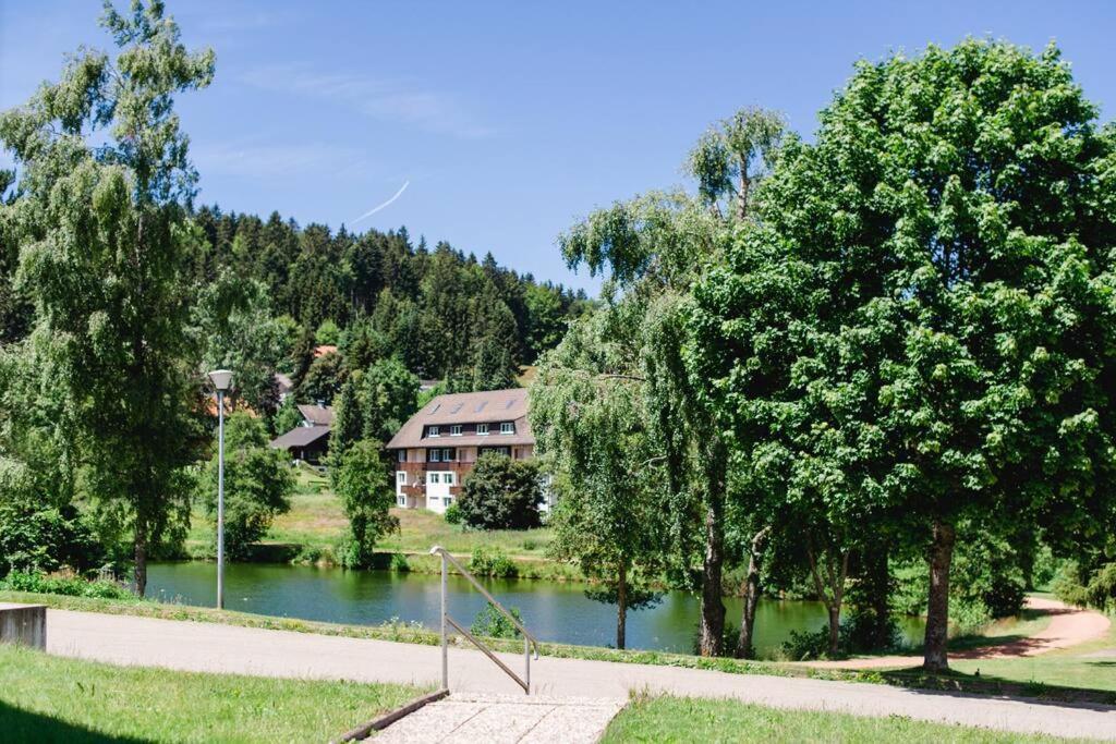 Ferienwohnung "Am Skilift" Herrischried Dış mekan fotoğraf