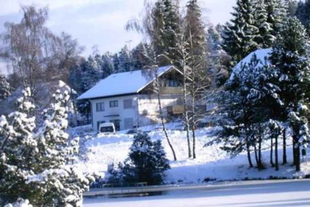 Ferienwohnung "Am Skilift" Herrischried Dış mekan fotoğraf