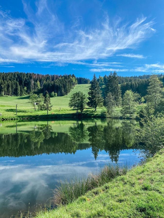 Ferienwohnung "Am Skilift" Herrischried Dış mekan fotoğraf
