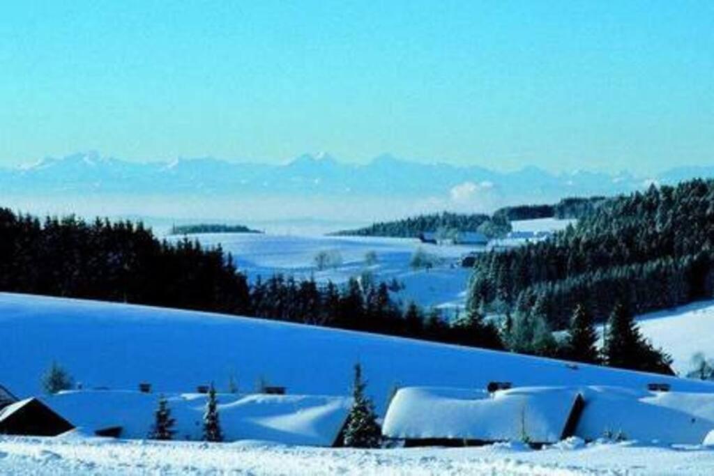 Ferienwohnung "Am Skilift" Herrischried Dış mekan fotoğraf
