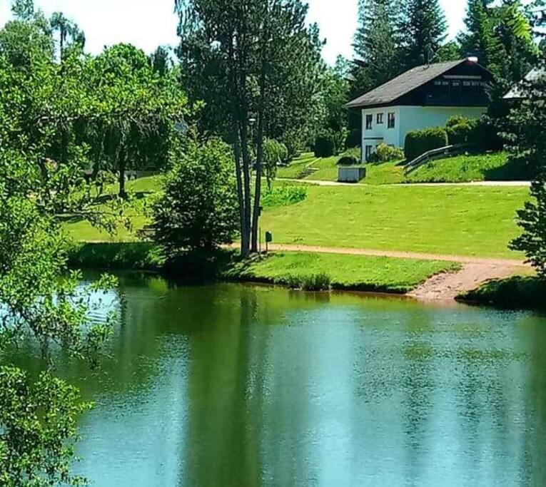 Ferienwohnung "Am Skilift" Herrischried Dış mekan fotoğraf