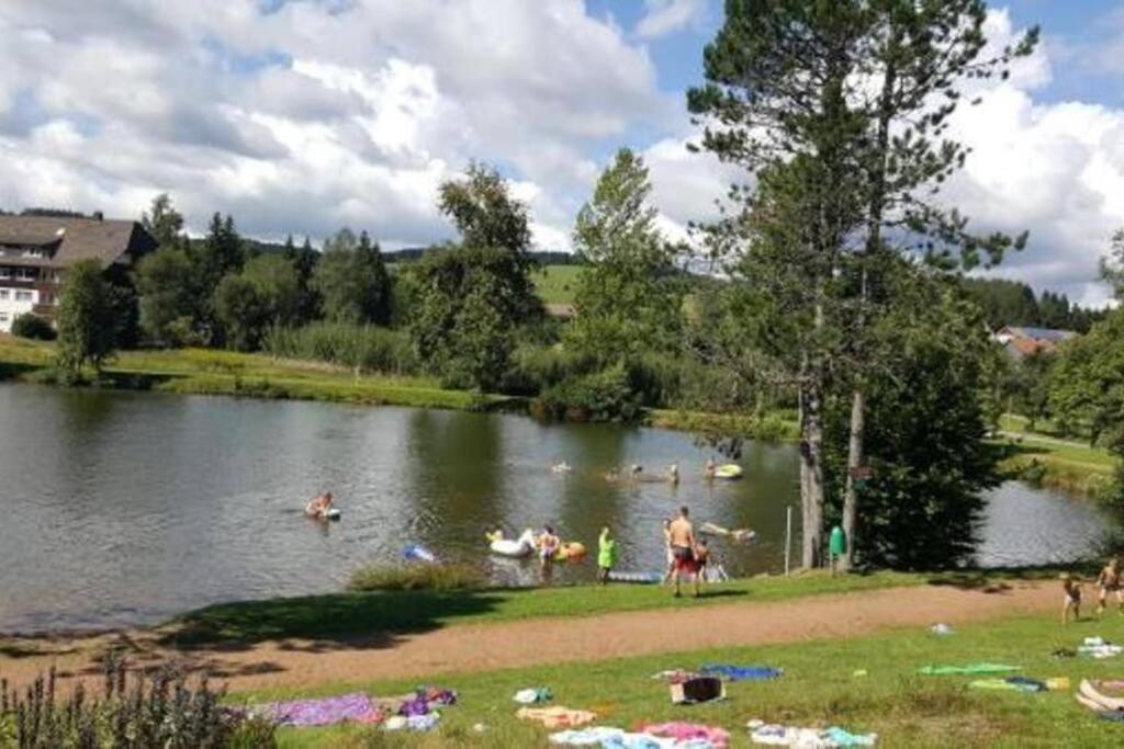 Ferienwohnung "Am Skilift" Herrischried Dış mekan fotoğraf